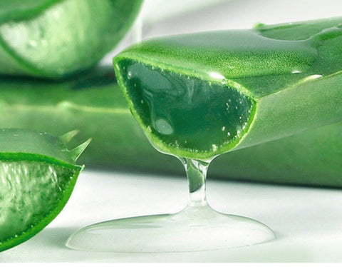 PureAloe Moisturizer
